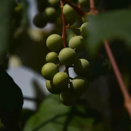 La Rocca Mia House Roccacasale