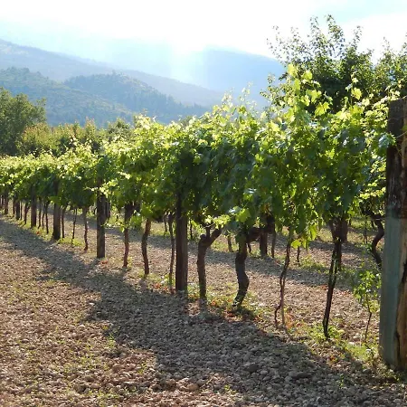 فندق مبيت وإفطار La Rocca Mia House