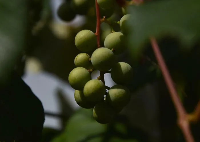 La Rocca Mia House Роккаказале